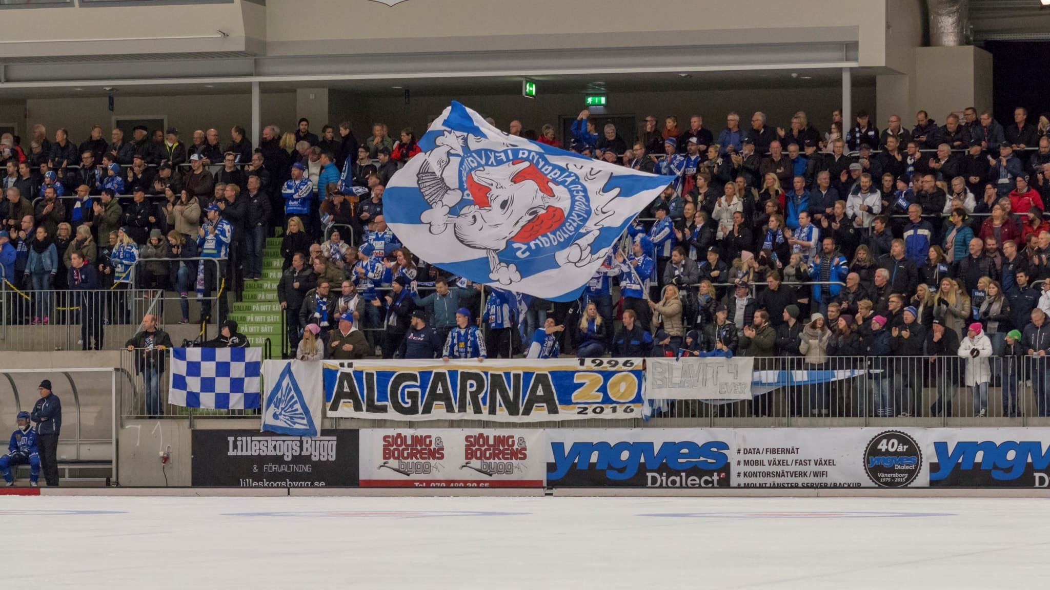 Älgarna hejar fram IFK Vänersborg